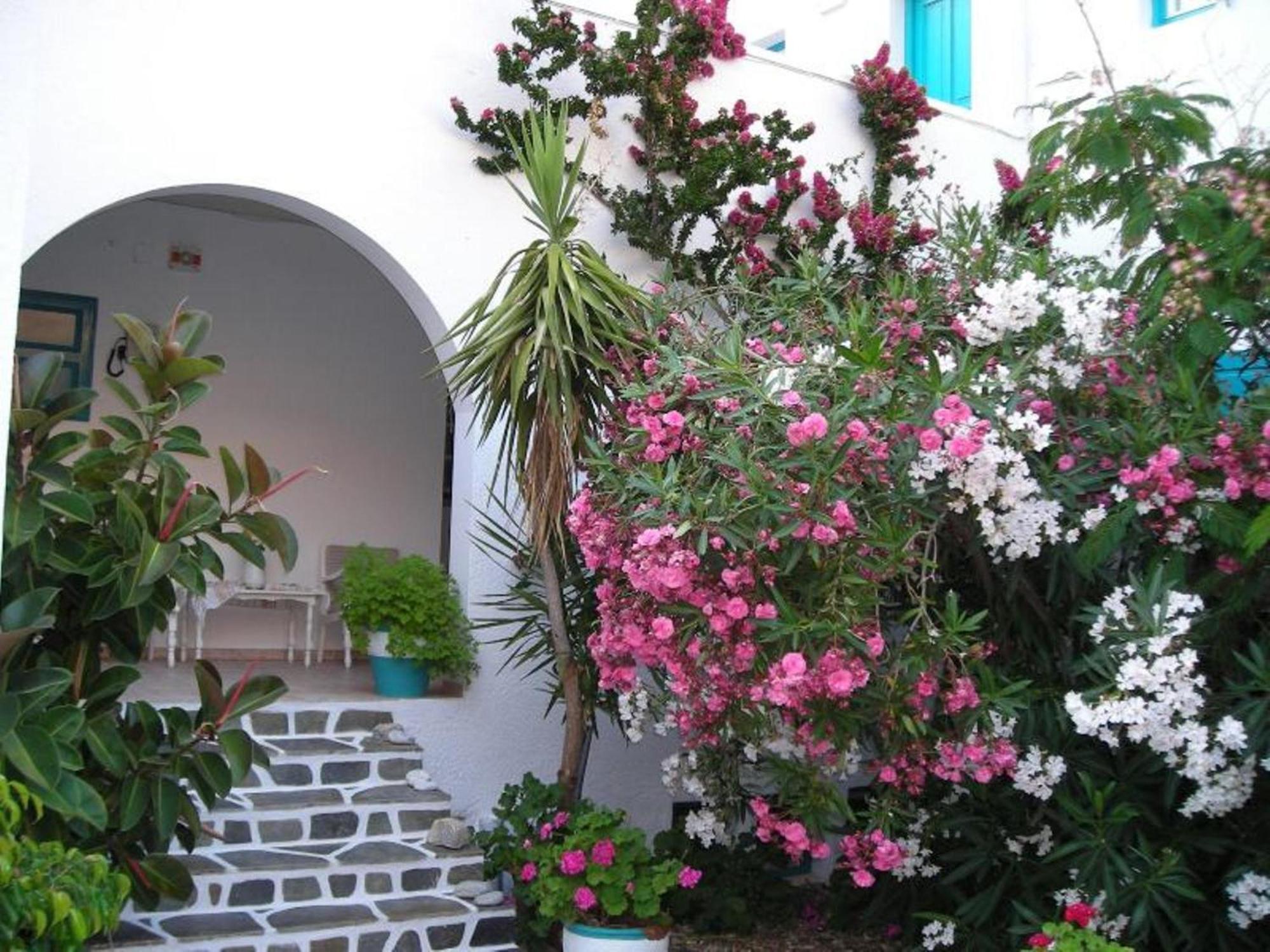 Gryspo'S Hotel Aegiali Exterior photo